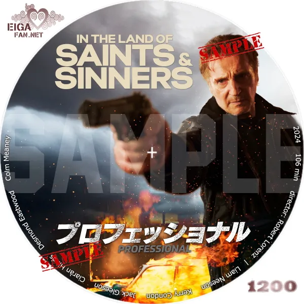 プロフェッショナルDVDラベル