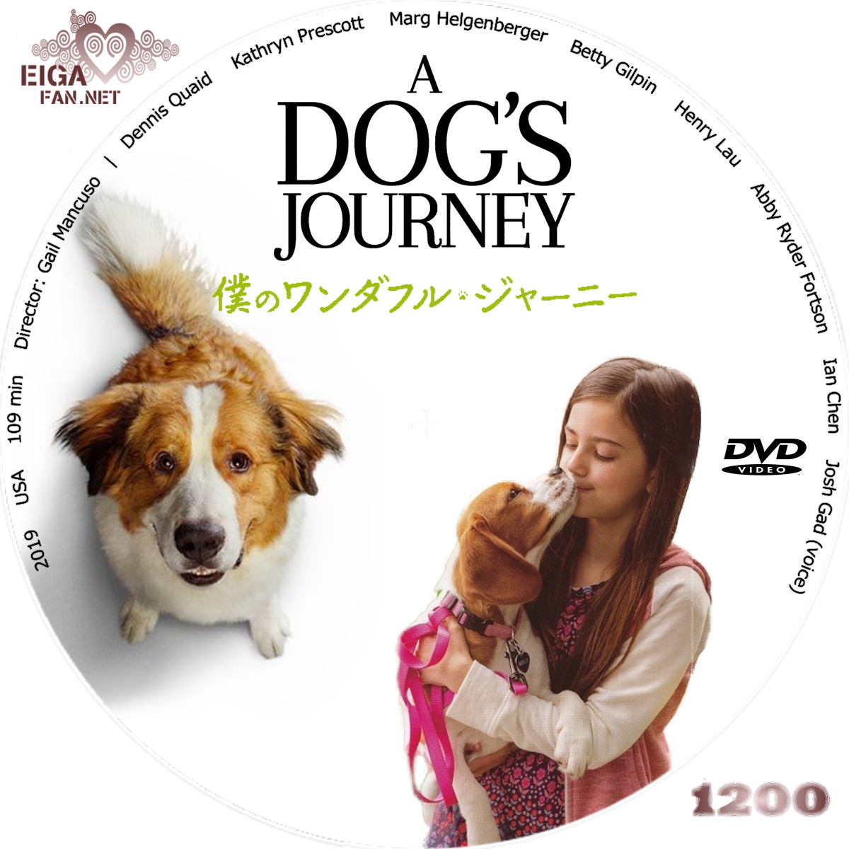 2019 A Dog's Journey