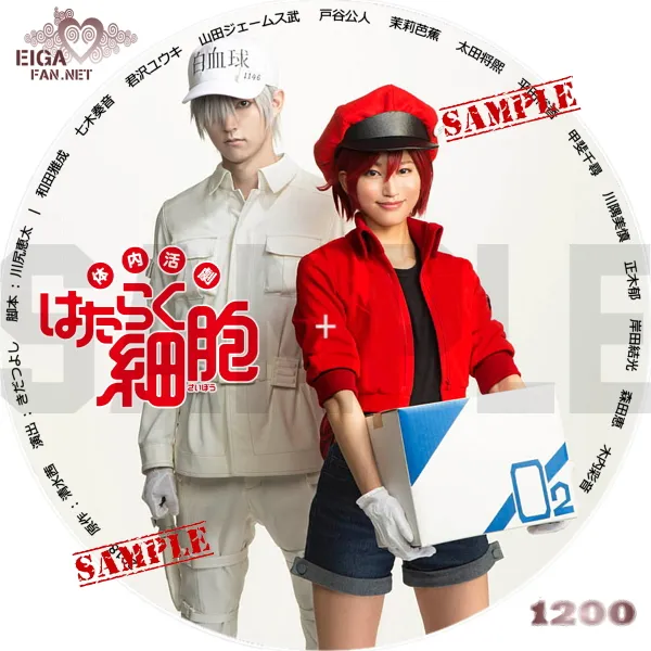 体内活劇「はたらく細胞」（2018）DVDラベル